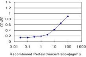 Detection limit for recombinant GST tagged FOXO3A is approximately 1ng/ml as a capture antibody. (FOXO3 抗体  (AA 361-460))