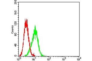 Flow Cytometry (FACS) image for anti-Paired Box 8 (PAX8) (AA 60-261) antibody (ABIN7193697)