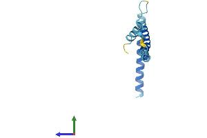 Protein Structure (PS) image for Spindle and Kinetochore-Associated Protein 2 (FAM33A) (AA 1-121) protein (His tag) (ABIN7546027)