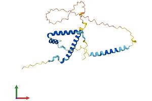 Protein Structure (PS) image for Gem (Nuclear Organelle) Associated Protein 8 (GEMIN8) (AA 1-242) protein (His tag) (ABIN7547894)