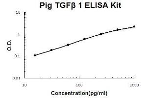 Pig TGF beta 1 PicoKine ELISA Kit standard curve (TGFB1 ELISA 试剂盒)