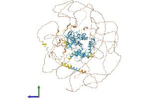 Protein Structure (PS) image for PR Domain Containing 16 (PRDM16) (AA 1-1275) protein (His tag) (ABIN7561879)