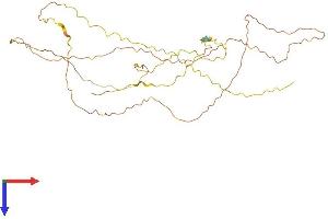 ERICH5 (AA 1-374) protein (His tag)