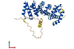 Protein Structure (PS) image for Armadillo Repeat Containing 10 (ARMC10) (AA 1-306) protein (His tag) (ABIN7560839)