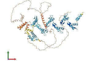 Protein Structure (PS) image for Zinc Finger Protein 606 (ZNF606) (AA 1-792) protein (His tag) (ABIN7545755)
