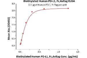ELISA image for CD274 (PD-L1) (AA 19-238) (Active) protein (Fc Tag,AVI tag,Biotin) (ABIN5674607)