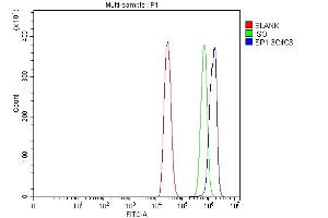 Flow Cytometry analysis of A431 cells using anti-SP1 antibody (ABIN7601559). (SP1 抗体  (AA 384-603))