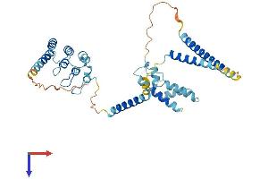 NFKBIL1 Protein (AA 1-381) (His tag)