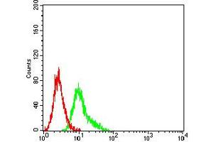 Flow cytometric analysis of Ramos cells using CD191 mouse mAb (green) and negative control (red). (CCR1 抗体)