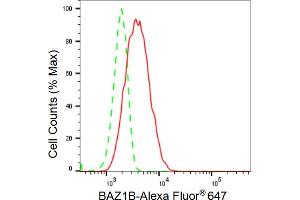 Flow cytometric analysis of BAZ1B expression in HeLa cells using BAZ1B antibody (ABIN7797797), 1:2,000). (Recombinant BAZ1B 抗体)