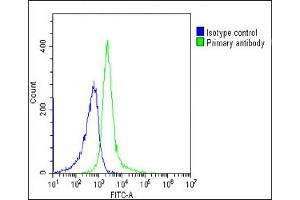 Overlay histogram showing Ramos cells stained with (ABIN654092 and ABIN2843978)(green line). (BACH2 抗体  (C-Term))