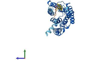 Protein Structure (PS) image for ELOVL Fatty Acid Elongase 1 (ELOVL1) (AA 1-279) protein (His tag) (ABIN7561678)