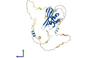 AlphaFold protein structure predicition of Human Recombinant HS1BP3 Protein, UniprotID Q53T59