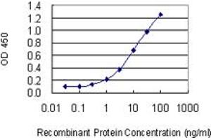 Detection limit for recombinant GST tagged STAM is 0. (STAM 抗体  (AA 1-403))