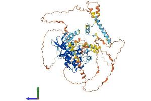 AlphaFold protein structure predicition of Human Recombinant NEK5 Protein, UniprotID Q6P3R8