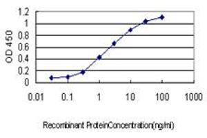 Detection limit for recombinant GST tagged STAC is approximately 0. (STAC 抗体  (AA 209-318))