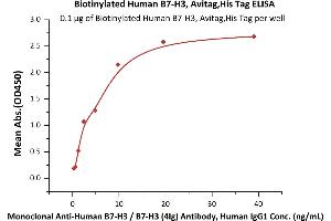Immobilized Biotinylated Human B7-H3, Avitag,His Tag (ABIN5674582,ABIN6253693) at 1 μg/mL (100 μL/well) on Streptavidin  precoated (0. (CD276 Protein (CD276) (AA 29-245) (His tag,AVI tag,Biotin))