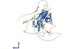 Protein Structure (PS) image for RAP1 GTPase Activating Protein (RAP1GAP) (AA 1-663) protein (His tag) (ABIN7551489)