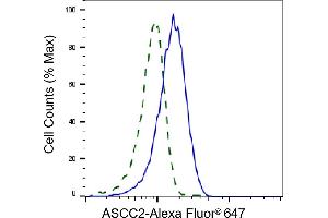 Validation of ASCC2 knockdown using flow cytometry. (ASCC2 抗体)