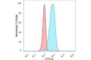 Flow Cytometric Analysis of PFA-fixed HeLa cells. (CELF2 抗体)
