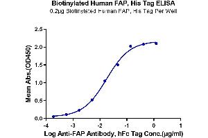 ELISA image for Fibroblast Activation Protein, alpha (FAP) (AA 26-760) protein (His-Avi Tag,Biotin) (ABIN7274585)