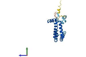 Protein Structure (PS) image for Rab Acceptor 1 (Prenylated) (RABAC1) (AA 1-185) protein (His tag) (ABIN7556357)