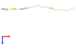 SPRR4 Protein (AA 1-79) (Fc Tag)