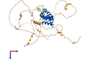 POU3F3 Protein (AA 1-500) (His tag)