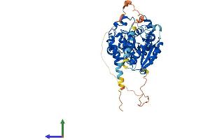 Protein Structure (PS) image for Glucoside Xylosyltransferase 2 (GXYLT2) (AA 1-443) protein (His tag) (ABIN7548140)