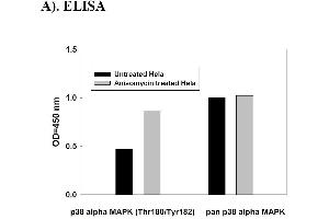 MAPK14 ELISA 试剂盒