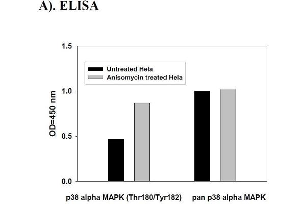 MAPK14 ELISA 试剂盒