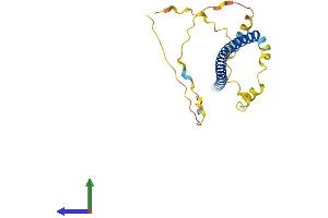 AlphaFold protein structure predicition of Human Recombinant TRNP1 Protein, UniprotID Q6NT89 (TRNP1 Protein (AA 1-227) (His tag))