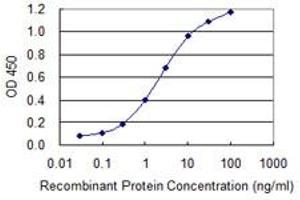 Detection limit for recombinant GST tagged ZWINT is 0. (ZWINT 抗体  (AA 1-277))