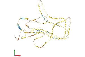 Protein Structure (PS) image for Collagen, Type XXV, alpha 1 (COL25A1) (AA 1-654) protein (His tag) (ABIN7553550)