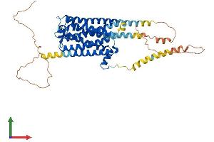 AlphaFold protein structure predicition of Human Recombinant HTR2A Protein, UniprotID P28223 (HTR2A Protein (AA 1-471) (His tag))