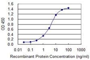 Detection limit for recombinant GST tagged TG is 0. (Thyroglobulin 抗体  (AA 2659-2768))