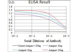 ELISA image for anti-Kelch-Like ECH-Associated Protein 1 (KEAP1) (AA 380-624) antibody (ABIN1846111)