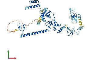 Protein Structure (PS) image for RanBP-Type and C3HC4-Type Zinc Finger Containing 1 (RBCK1) (AA 1-508) protein (His tag) (ABIN7565217)