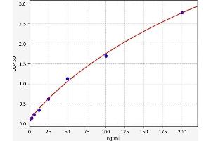 NTRK3 ELISA 试剂盒