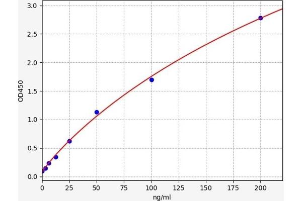 NTRK3 ELISA 试剂盒
