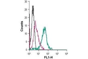 Flow Cytometry (FACS) image for anti-Potassium Inwardly-Rectifying Channel, Subfamily J, Member 2 (KCNJ2) (AA 112-125), (Extracellular) antibody (FITC) (ABIN7043482)