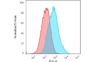 Flow Cytometric Analysis of PFA-fixed MCF-7 cells using p27 Mouse Monoclonal Antibody (SX53G8) followed by Goat anti- Mouse- IgG-CF488 (Blue); Isotype Control (Red). (CDKN1B 抗体)