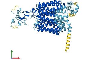 Protein Structure (PS) image for Solute Carrier Family 22 (Organic Cation Transporter), Member 11 (SLC22A11) (AA 1-550) protein (His tag) (ABIN7551614)