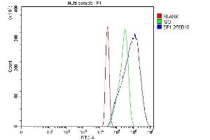 Flow Cytometry analysis of A431 cells using anti-splicing factor 1 antibody (ABIN7600193). (Splicing Factor 1 抗体  (AA 160-266))