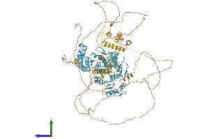 Protein Structure (PS) image for Zinc Finger and SCAN Domain Containing 20 (ZSCAN20) (AA 1-1043) protein (His tag) (ABIN7556138)