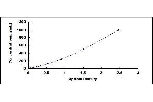 Typical standard curve (IFNA ELISA 试剂盒)