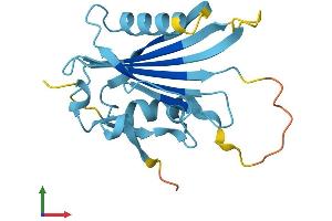 Protein Structure (PS) image for RAN Guanine Nucleotide Release Factor (RANGRF) (AA 1-186) protein (His tag) (ABIN7549424)