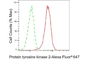 Flow cytometric analysis of Protein tyrosine kinase 2 expression in C2C12 cells using Protein tyrosine kinase 2 antibody (ABIN7800062), 1:2,000). (Recombinant FAK 抗体)