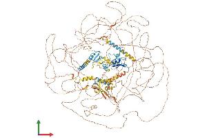 Protein Structure (PS) image for Methyl-CpG Binding Domain Protein 5 (MBD5) (AA 1-1494) protein (His tag) (ABIN7554504)