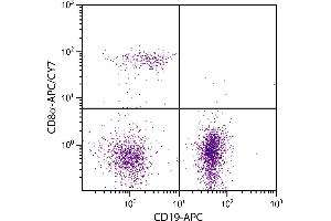 BALB/c mouse splenocytes were stained with Rat Anti-Mouse CD8α-APC/CY7. (CD8 alpha 抗体  (APC-Cy7))